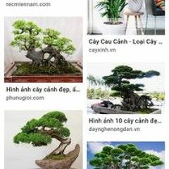 Thành Quyến Hoàng Linh