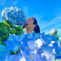 Ngọc Ánh Nguyễn