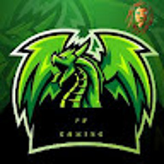 Veeru Gaming