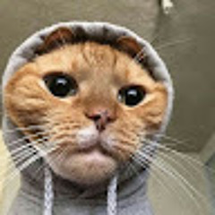 Pedrinho