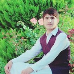 Faisal Zadran