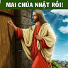 Tùng Luu
