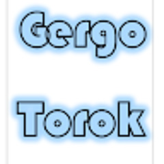 Gergo Torok
