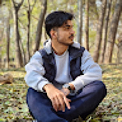 shayan ghadiri vasfi