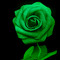 Dopeless Hopefeind