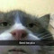 Dochii YT