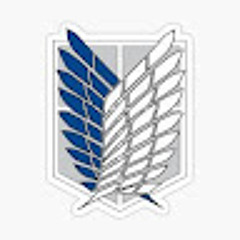 SeNPaY