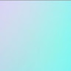 Mongmongi24