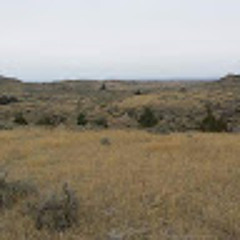 Nowhere Homestead
