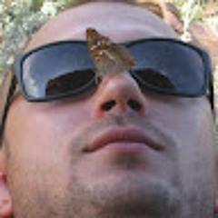 Саша Толчеев