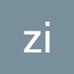 zi zi