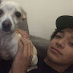 alejandro marquez ponce