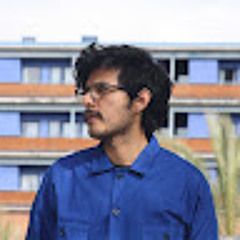 Rodrigo Martinez Torres