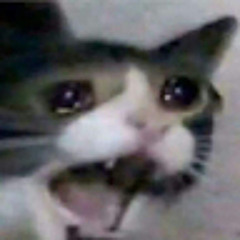 Trần Dũng Lê