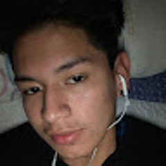 luis orlando alvarado
