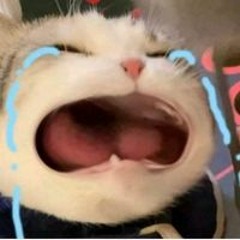 Nhật Đức