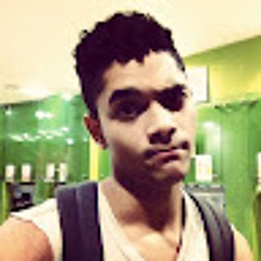 Sebastien Ochoa Diplan