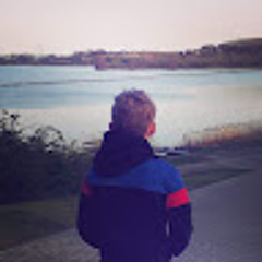 Jelle Sniekers