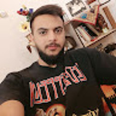 ali pournasari