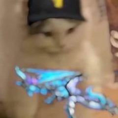 Hoàng An Lê