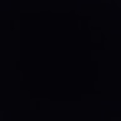 Жека Чеснок