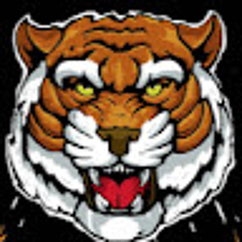 Студия танцев Tiger hill’s avatar