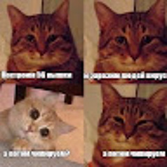 Юлия Бекетова