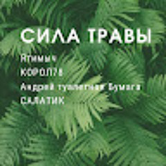nikolaev
