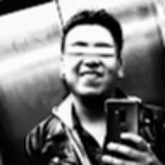 D.G. BORIS PALADINES