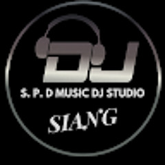 羅百吉 - 摩天輪【2022 DJ SIANG Remix】S. P. D Music DJ Studio