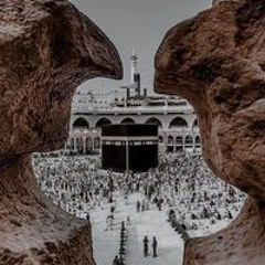 زهره البنفسج