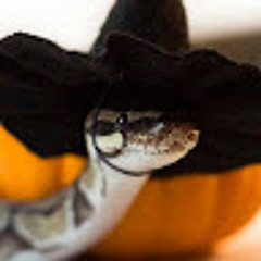 Snakes with Hats