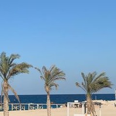 ياسين فؤاد فؤاد