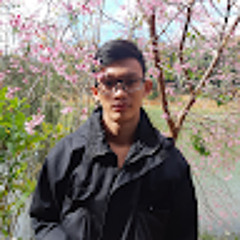 trần trí