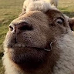 Kristupas Petrulėnas