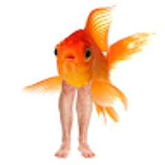 Fish Legs