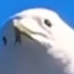 심심하다람쥐