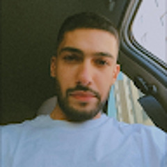 alireza hamidi