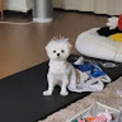 요오