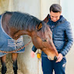 amirmohammad Tavassoli