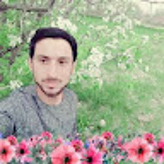 mustafa dahi