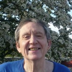Guy Henkinet