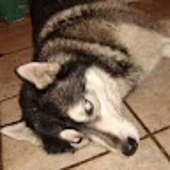 Odin Lomax