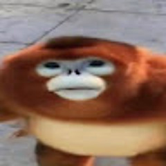 monkey dude