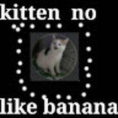 Kitten No like banana