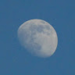 Mooshmoos _ (Mooshmoos)