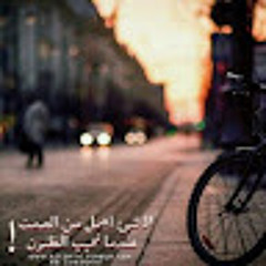Dhmes Alqurashi