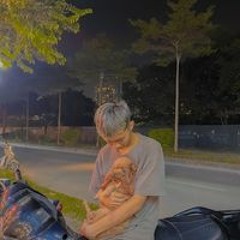 Vũ Dương