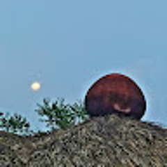 ALOMACA