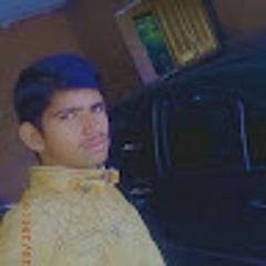 shan habib